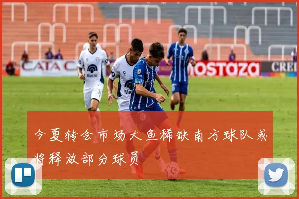 今夏转会市场大鱼稀缺南方球队或将释放部分球员