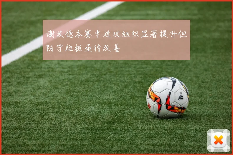 谢泼德本赛季进攻组织显著提升但防守短板亟待改善