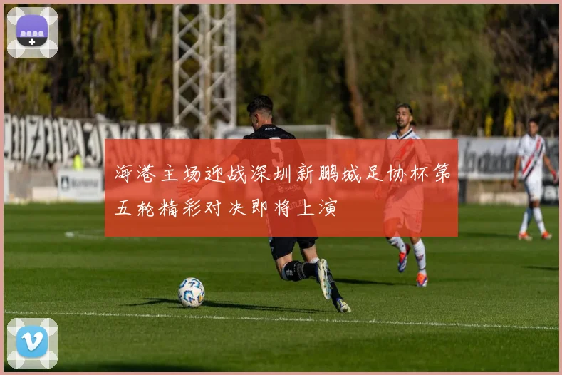 海港主场迎战深圳新鹏城足协杯第五轮精彩对决即将上演