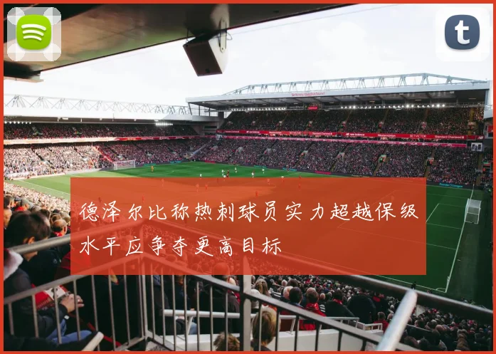 德泽尔比称热刺球员实力超越保级水平应争夺更高目标